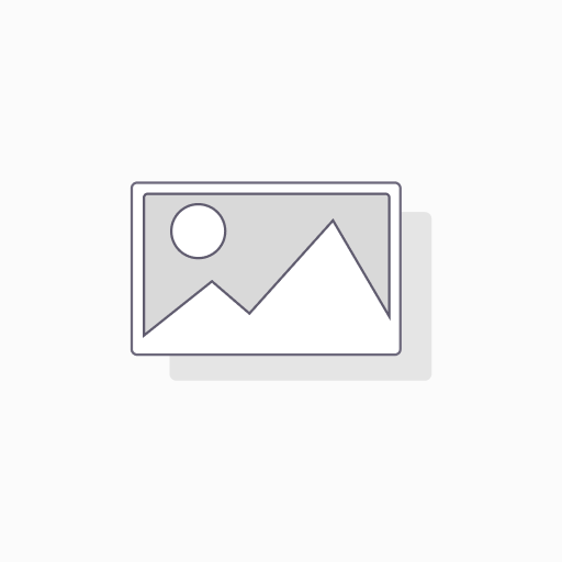 Online Signature Analysis